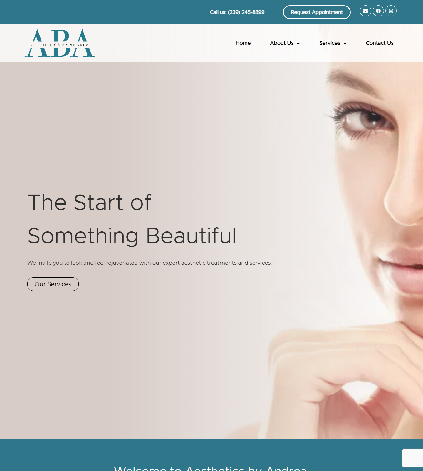 Aesthetics by Andrea — Aesthetics by Andrea website homepage (Fort Myers, FL plastic & cosmetic surgery)