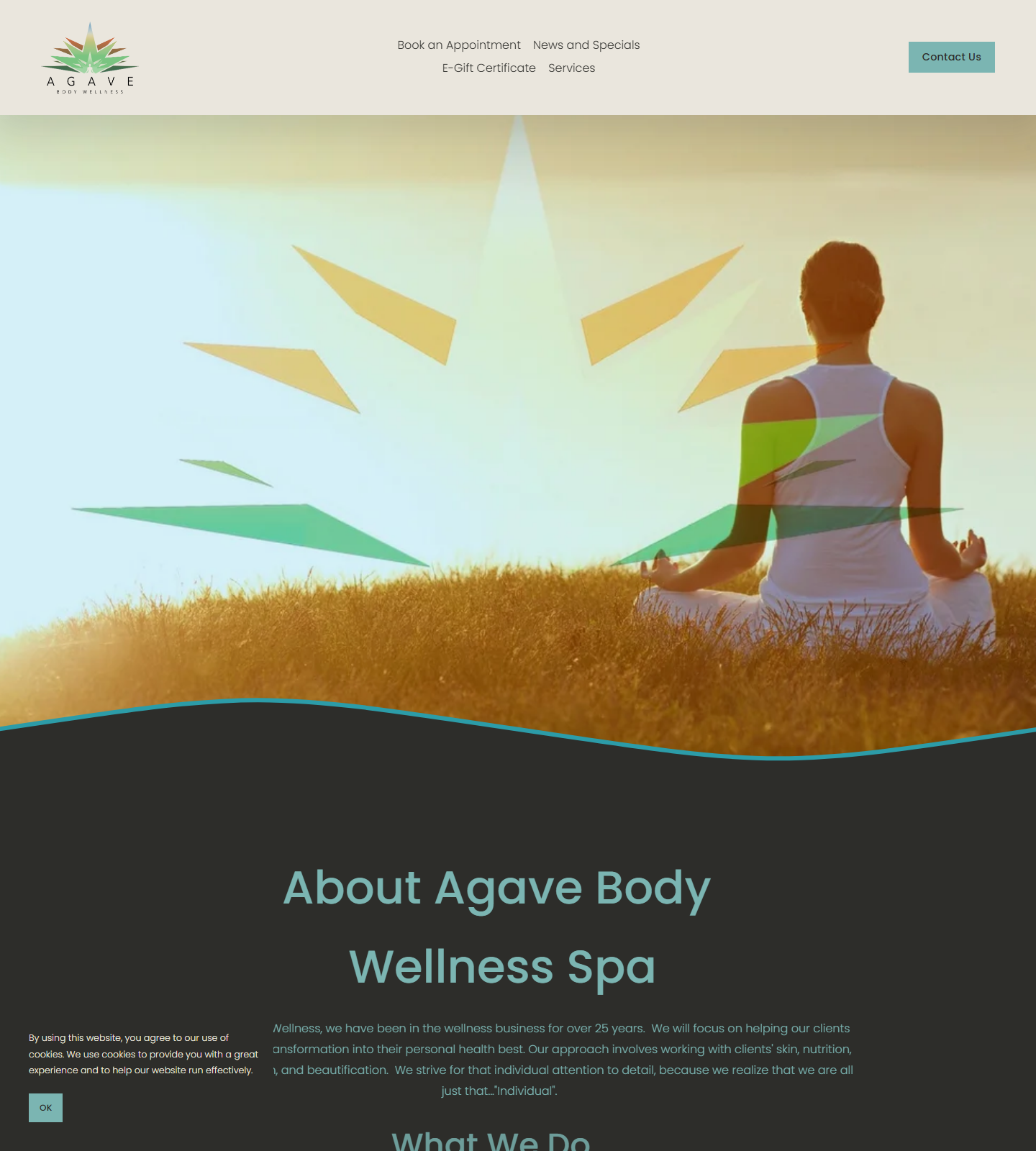 Agave Body Wellness Spa — Agave Body Wellness Spa website homepage (Birmingham, AL)