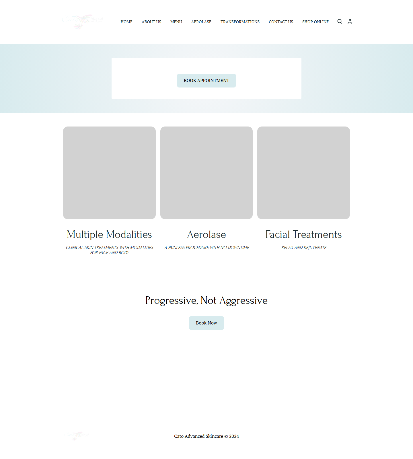 Cato Advanced Skin Care — Cato Advanced Skin Care website homepage (Shenandoah, TX plastic & cosmetic surgery)