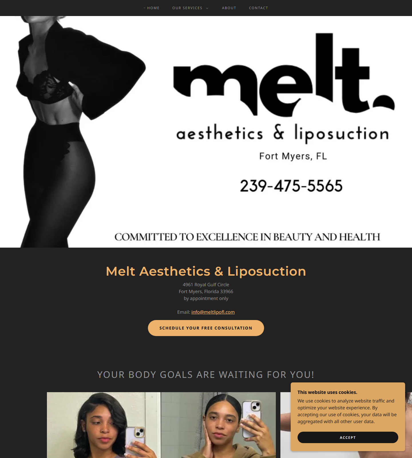 Melt Aesthetics and Liposuction Florida — Melt Aesthetics and Liposuction Florida website homepage (Fort Myers, FL plastic & cosmetic surgery)