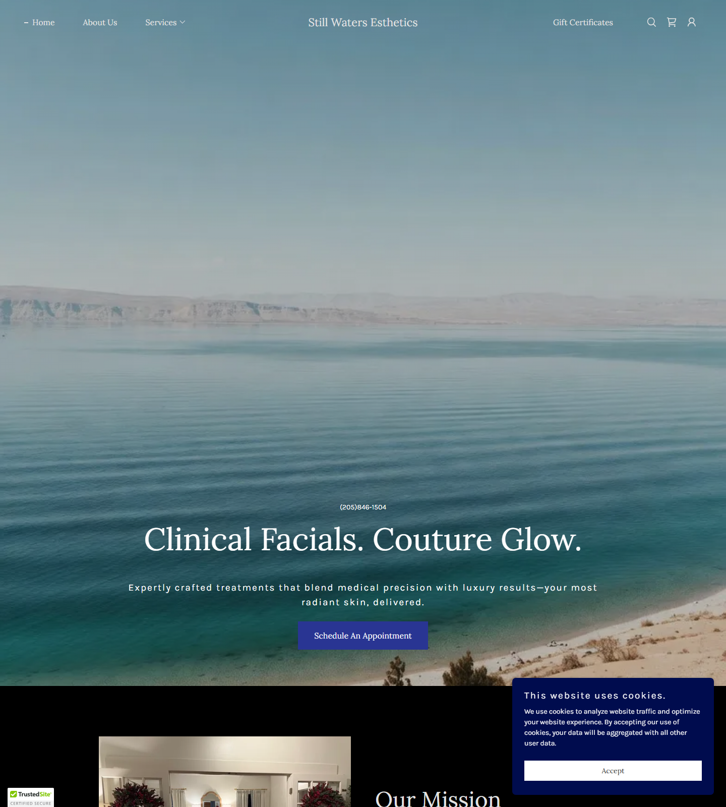 Still Waters Esthetics — Still Waters Esthetics website homepage (Birmingham, AL)